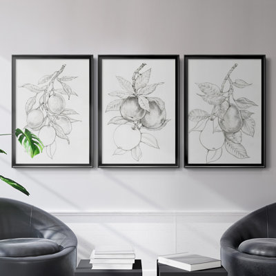 Fruit-Bearing Branch I - 3 Piece Single Picture Frame Drawing Print Set on Canvas
