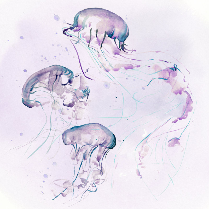 Underwater Halcyon II by Jennifer Paxton Parker - Wrapped Canvas Painting, 91cm H x 91cm W