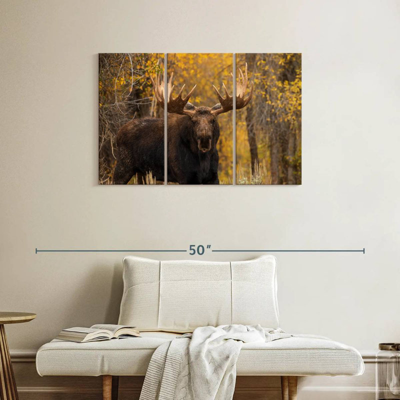 Shiras Bull Moose, 24" H x 38" W