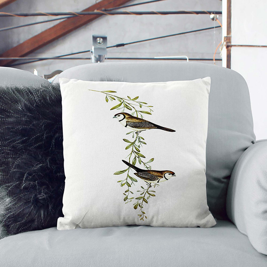 Black-Rumped Finch Birds By Elizabeth Gould