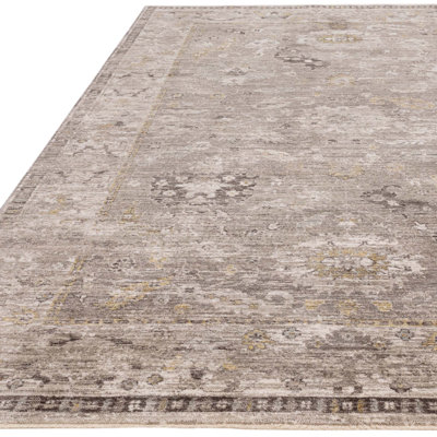 Chavonda Persian Vintage Taupe Area Rug