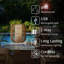 Charisse 26'' Battery Powered Integrated LED-63789305