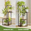 Ahmari Plant Stand