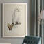 Salamanca French Owls IV - reproduction de photo sur toile-88378414-88378420