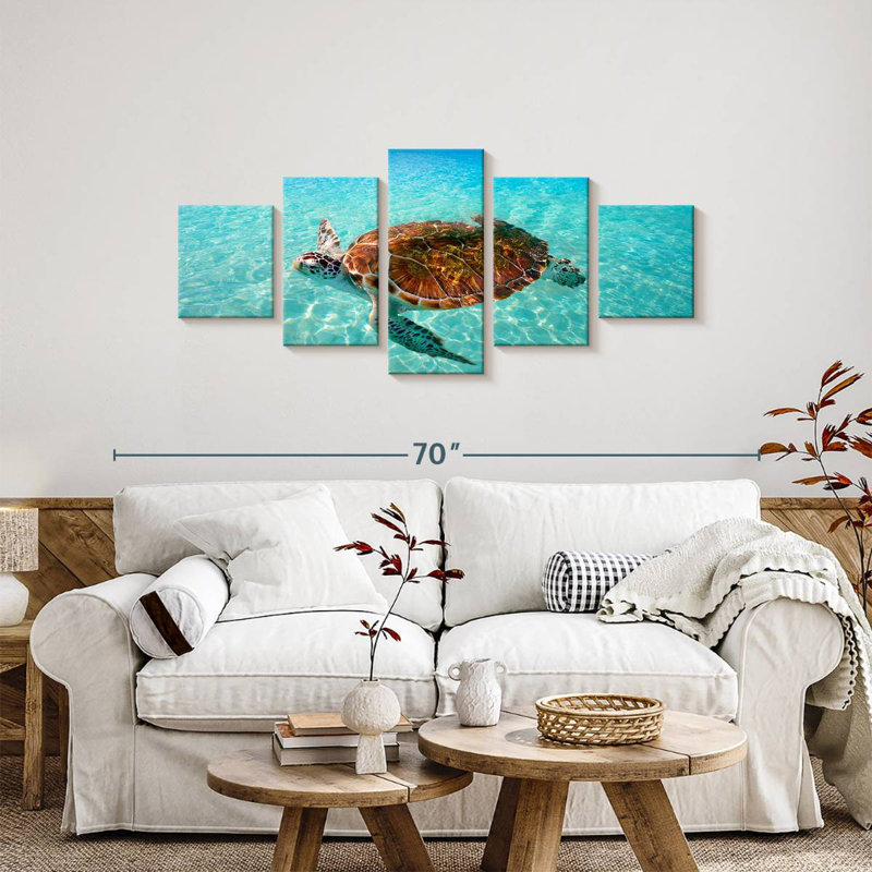Tortue de plage Brampt, H 24 po x l 55 po