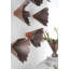 Jagged Splash Bowl Wall Art-653072300