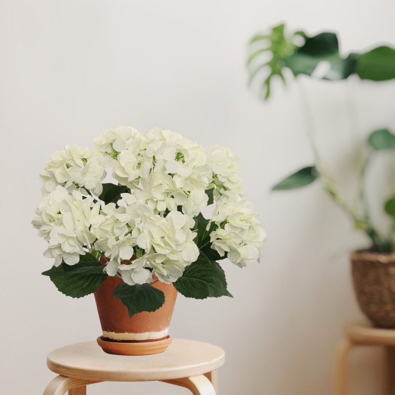 Ultra Realistic Faux Silk Hydrangea Arrangement - Artificial Flowers for Home Decor, Cream