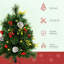 Christmas Tree 2-Pack Outdoor Artificial Pine Cordless with Stakes