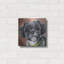Art mural en métal Winston Porter «Dogs Shih Tzu» par Lindsay Kivi-1271064769