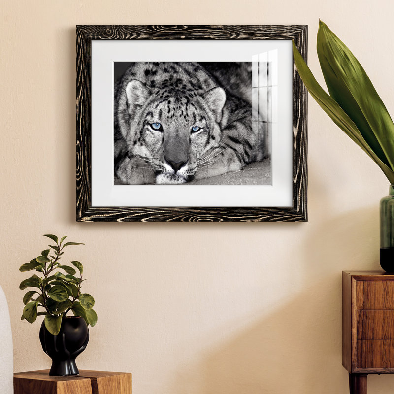 Snow Leopard Sanctuary - Photographie avec cadre photo, Papier avec cadre noir, H 20 po x l 17 po x P 1,5 po