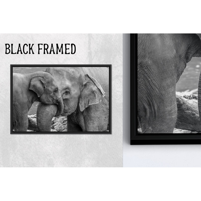 «Elegant Elephant Mom and Baby», art mural en verre imprimé sur toile, encadré noir 1P, 47,3 po H x 102,4 po l