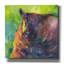 Art mural sur toile August Grove® «Baa Baa Black Sheep» par Annelein Beukenkamp-953314038
