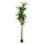 96'' Faux Dracaena Tree in Pot Liner