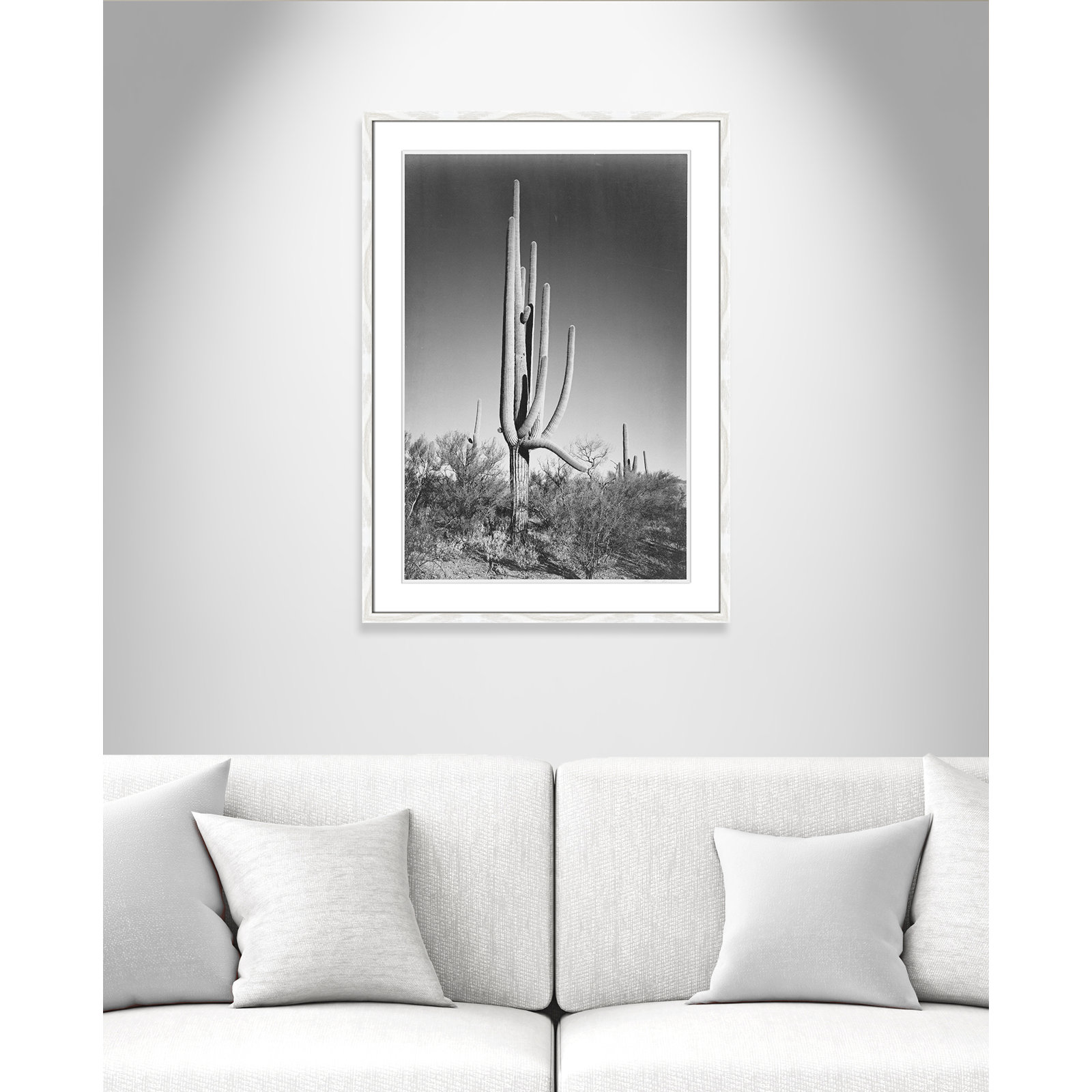 Cactus In Saguaro National Monument In Arizona by Ansel Adams, 35.5" H x 25.5" W x 0.75" D, White