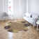 Springcreek Indoor / Outdoor Rug
