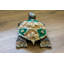 Décoration murale tortue-92402666