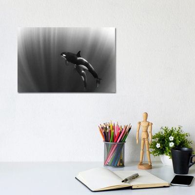 Orca's Dream by Mirko De Luca - Wrapped Canvas Gallery-Wrapped Canvas Giclée