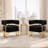 Accent Armchair With Metal Frame(Set Of 2)-661841936
