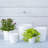 Karstin Pot Planter-1344211562