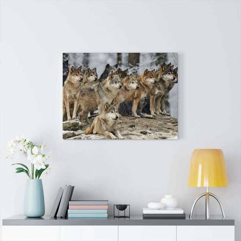 Loup - photographie sur toile tendue, H 18 po x l 24 po x P 1,25 po