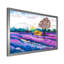 Maison de fermier solitaire sur un champ de lavande - peinture sur toile-67229647-67229639