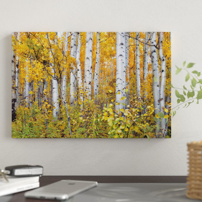 Rustic