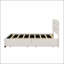 Lit plateforme tapissier avec lit gigogne et deux tiroirs-333860886