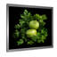 Fennel Herbs Fantasy 1 - Floral Herbs, art mural-838301038-872403633