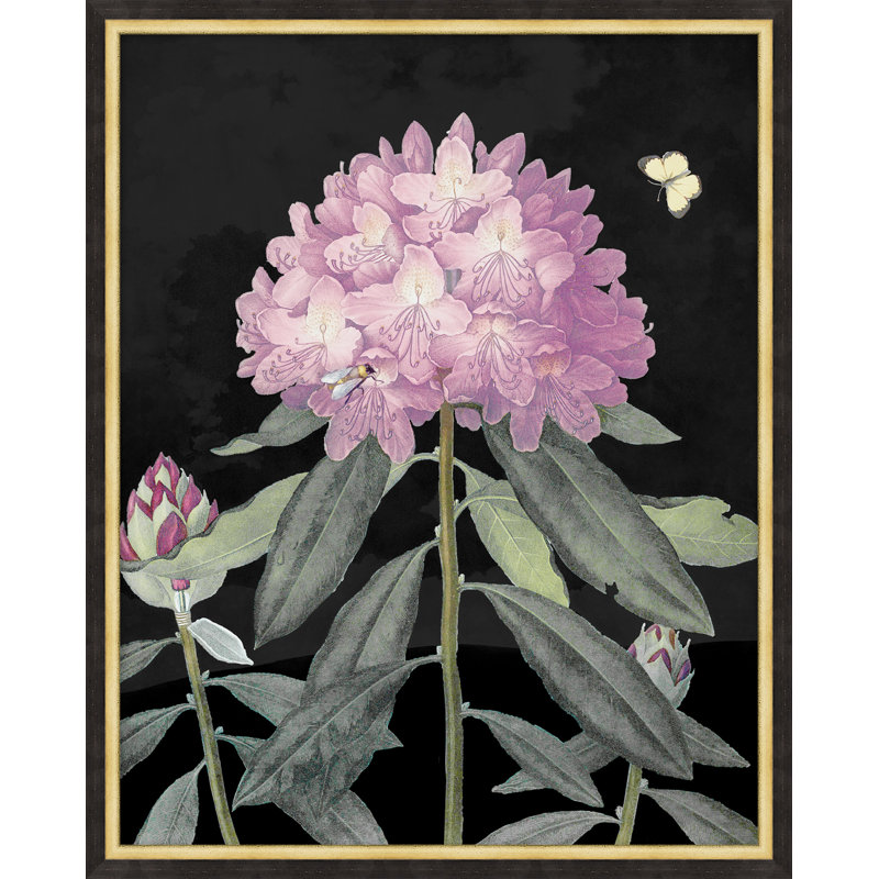Poetic Botanicals 1 Print by Lillian August