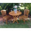 Celise Outdoor Teak Dining Side Chair