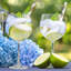 Giacoma 600ml Crystal Drinking Glass Set