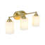 3 - Light Vanity Light