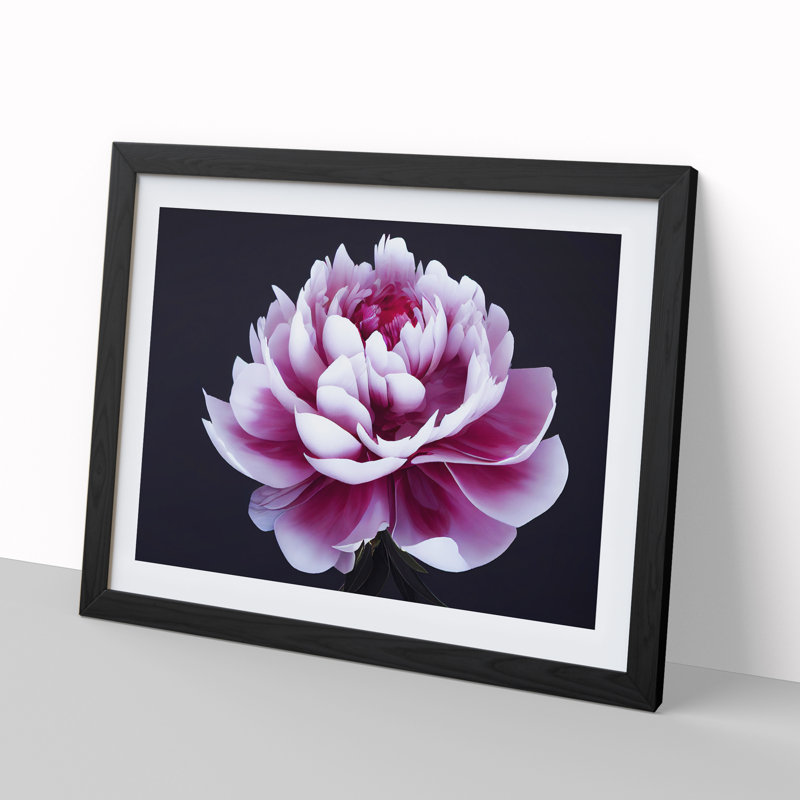 Delightful Peony Flower - Single Picture Frame Painting, 46cm H x 64cm W x 2cm D, Black