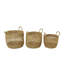 Ensemble de 3 paniers en ruppie maritime Colombe