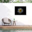 Bolognaise bolivien, Brian Carson, fleurs de jardin 52-98043861