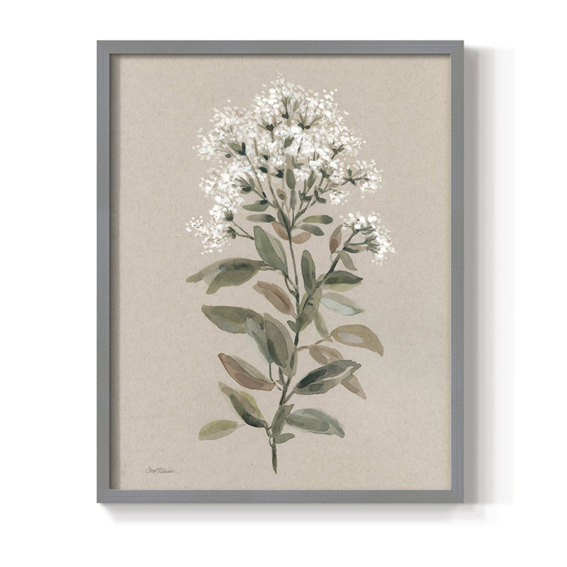 Reproduction encadrée de tiges florales blanches II - bois massif, H 15 po x l 12 po, Gris
