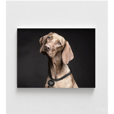 Reproduction de photo de Weimaraner, photo de grand chien encadrée, art mural gros chien, décoration murale mignon Doggo, reproduction de photo animalière, art mural encadré