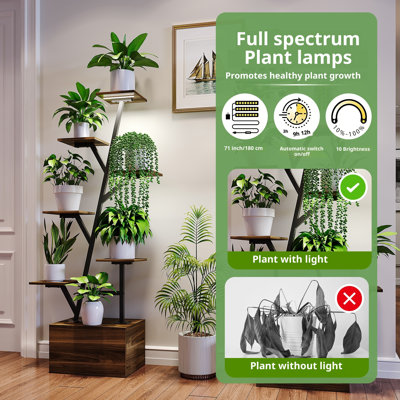 Plant Stand - Set of 2