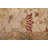 Jules Serapi Ivory Rug 10'0" x 13'10"