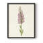 Mauve Garden Flowers I, reproduction encadrée - bois massif-815734636-815734646