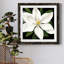 " Midnight Magnolia I "-62727054-62727055