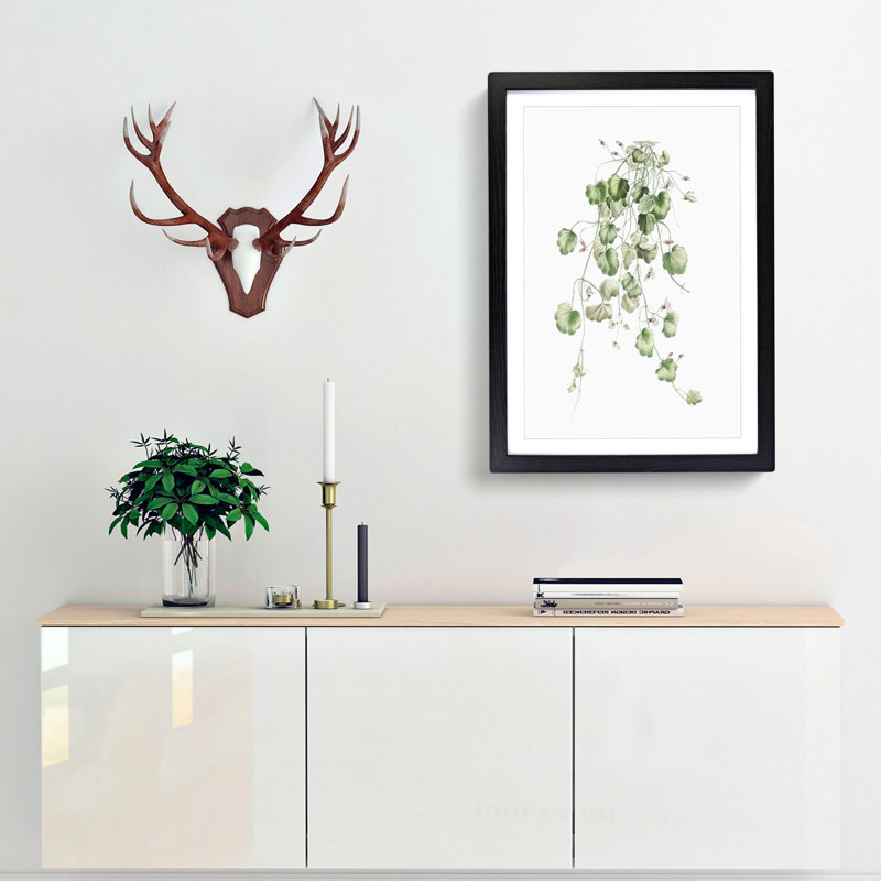Kenilworth Ivy Flowers by Pierre-Joseph Redoute - Picture Frame Graphic Art Print, 48cm H x 36cm W x 2cm D, Black Framed