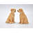 Labrador Salt And Pepper Shaker Set