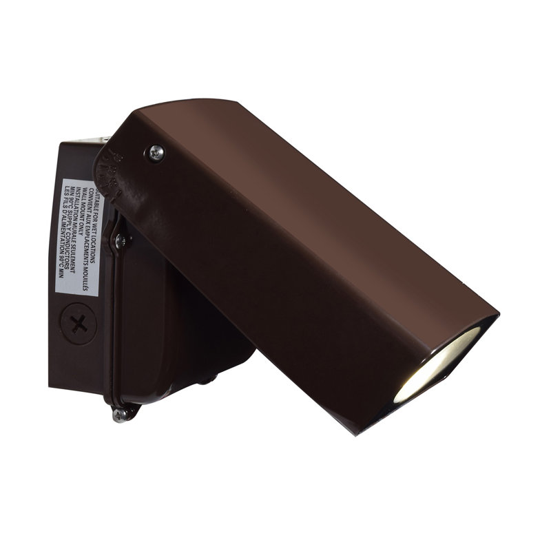 Montague Wall Light, Bronze