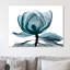 Midnight Magnolia 1 - Wrapped Canvas Print-1811972099