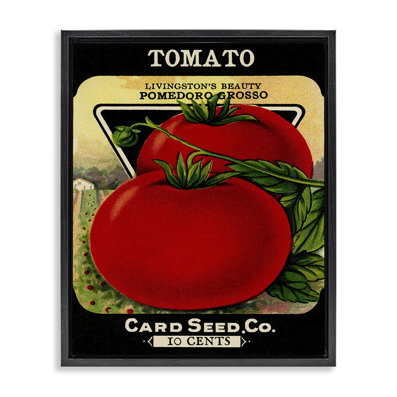 Cadre flottant rétro style tomate de jardin, design par Lil 'Rue, Cadre flottant noir de jais, H 21 po x l 17 po