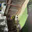 Photos des clients 1 de 1