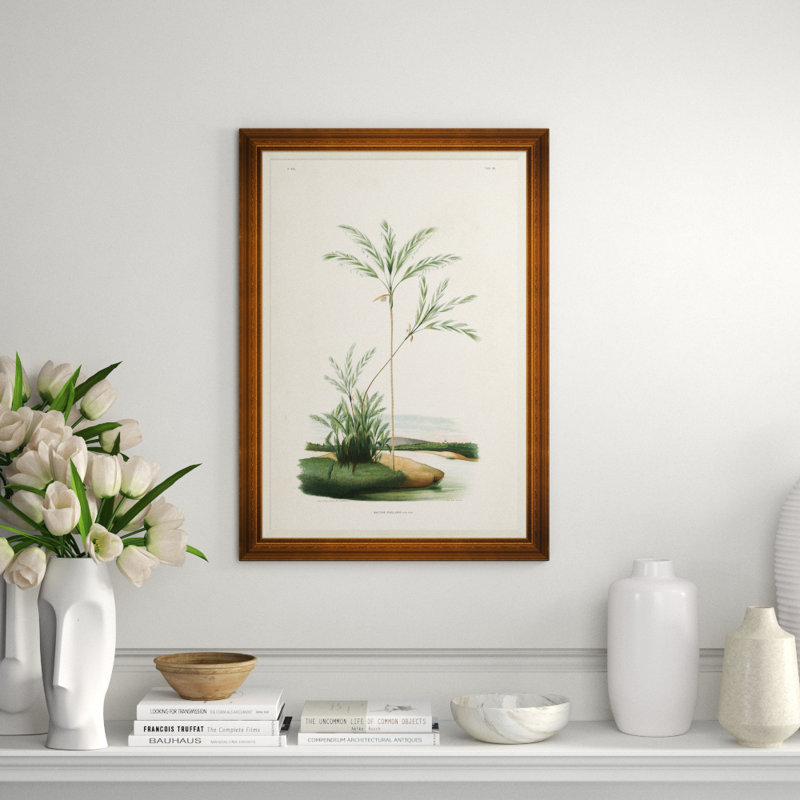African Palms Giclee Print by João Barbosa Rodrigues