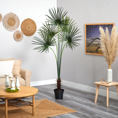 7ft. Fan Palm Tree UV Resistant (Indoor/Outdoor)