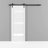 Quadro Frosted Glass Barn White Door with Installation Hardware Kit-50038366-50048596